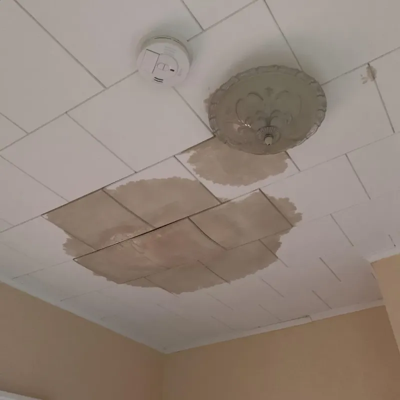 Ceiling Water Damage Repair in Belmond, IA